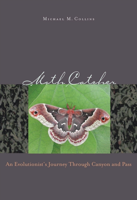 Moth Catcher : An Evolutionist's Journey Through Canyon and Pass, Paperback / softback Book