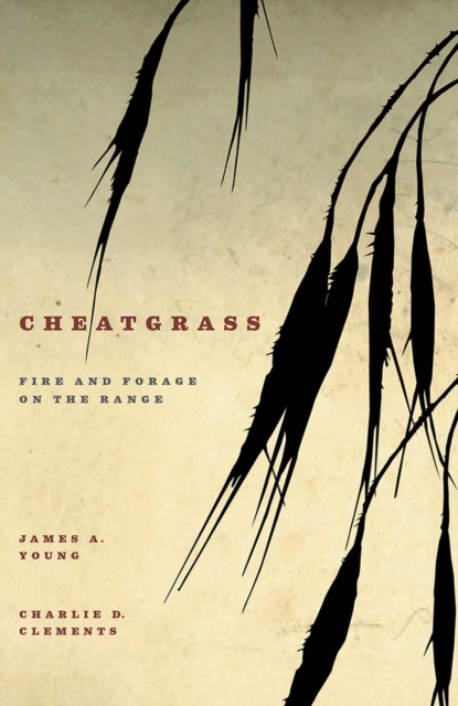 Cheatgrass : Fire and Forage on the Range, Hardback Book