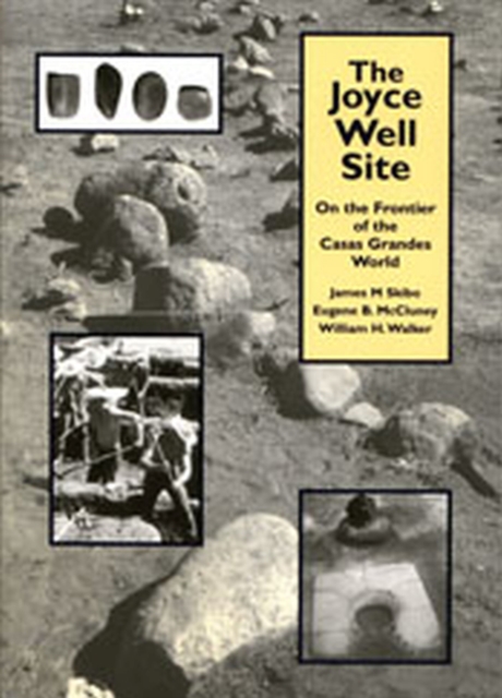 The Joyce Well Site : On the Frontier of the Casas Grandes World, Paperback / softback Book