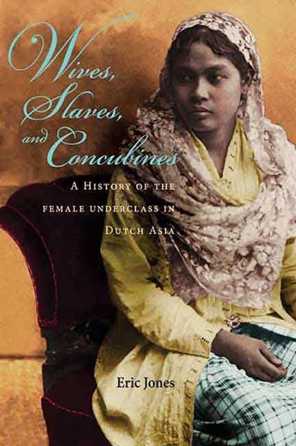 Wives, Slaves, and Concubines : A History of the Female Underclass in Dutch Asia, Hardback Book