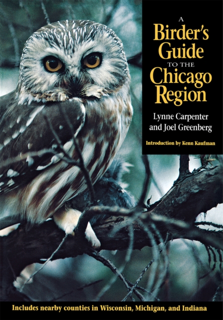 A Birder's Guide to the Chicago Region, Paperback / softback Book