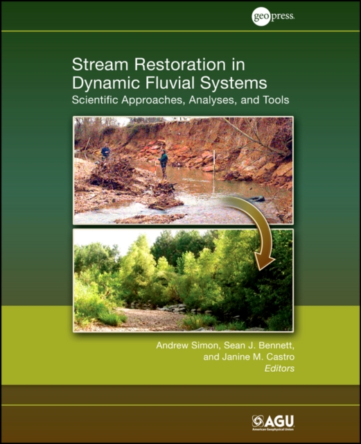 Stream Restoration in Dynmaic Fluvial Systems : Scientific Approaches, Analyses, and Tools, Hardback Book
