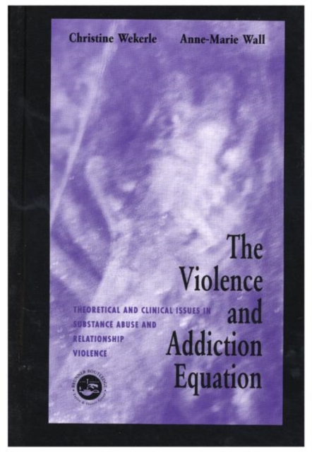 The Violence and Addiction Equation : Theoretical and Clinical Issues in Substance Abuse and Relationship Violence, Hardback Book
