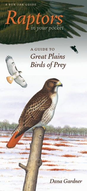 Raptors in Your Pocket : A Guide to Great Plains Birds of Prey, Paperback / softback Book