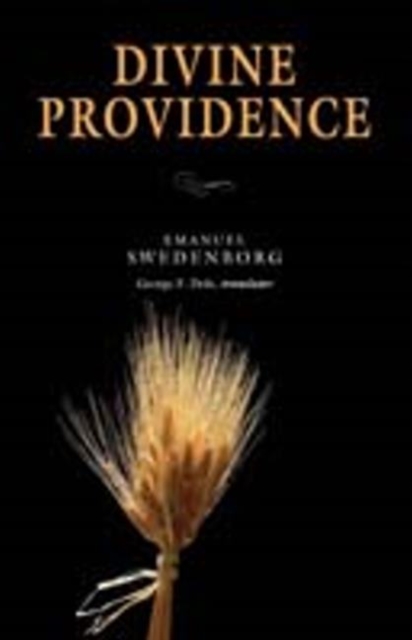 DIVINE PROVIDENCE: PORTABLE : THE PORTABLE NEW CENTURY EDITION, Paperback / softback Book