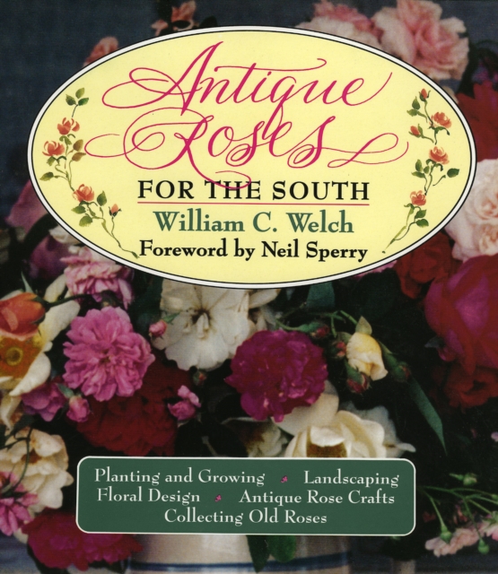 Antique Roses for the South, Hardback Book
