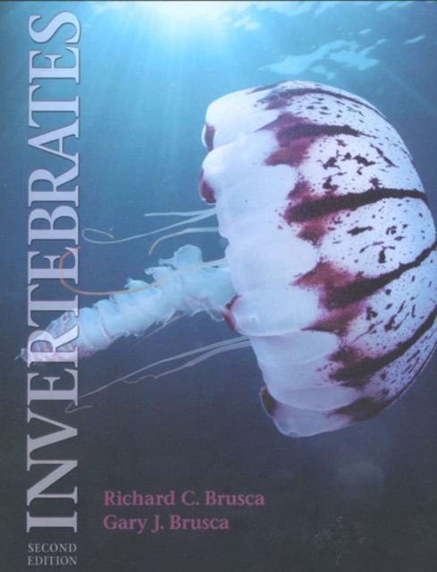 Invertebrates, Hardback Book