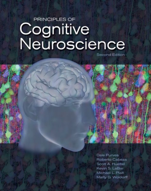Principles of Cognitive Neuroscience, Hardback Book