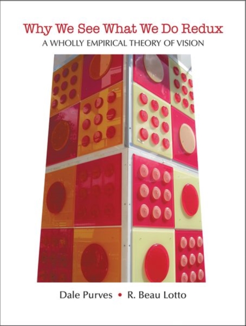 Why We See What We Do Redux : A Wholly Empirical Theory of Vision, Paperback / softback Book