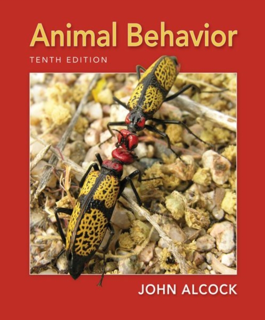 Animal Behavior : An Evolutionary Approach, Paperback / softback Book