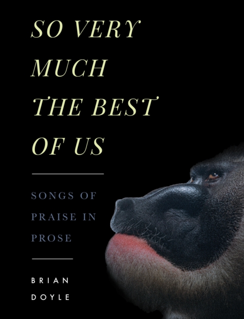 So Very Much the Best of Us, EPUB eBook