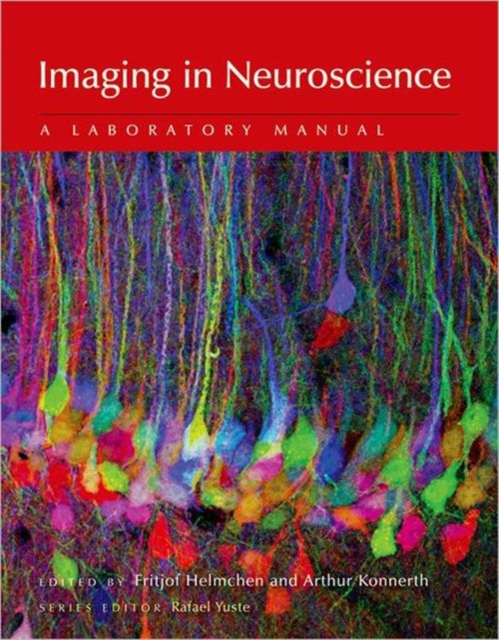 Imaging in Neuroscience : A Laboratory Manual, Paperback / softback Book