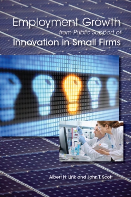 Employment Growth from Public Support of Innovation in Small Firms, EPUB eBook