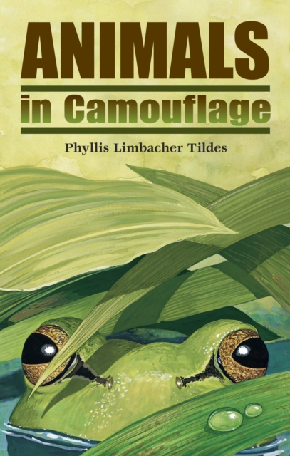 Animals in Camouflage, Paperback / softback Book