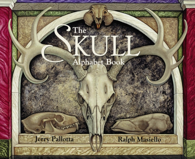 The Skull Alphabet Book, Paperback / softback Book