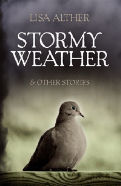 Stormy Weather & Other Stories, Hardback Book