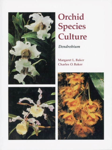 Orchid Species Culture : Dendrobium, Paperback / softback Book