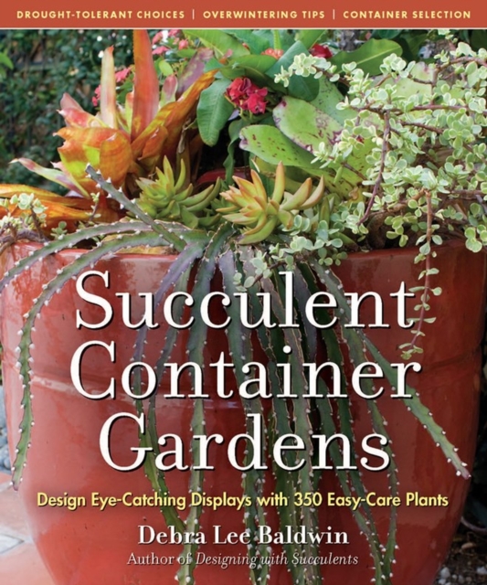 Succulent Container Gardens : Design Eye-Catching Displays with 350 Easy-Care Plants, Hardback Book