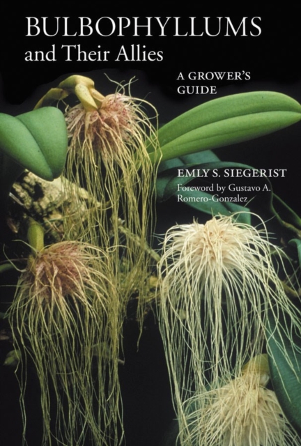 Bulbophyllums and Their Allies : A Grower's Guide, Paperback / softback Book