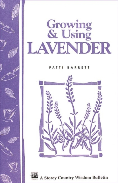 Growing & Using Lavender : Storey's Country Wisdom Bulletin A-155, Paperback / softback Book
