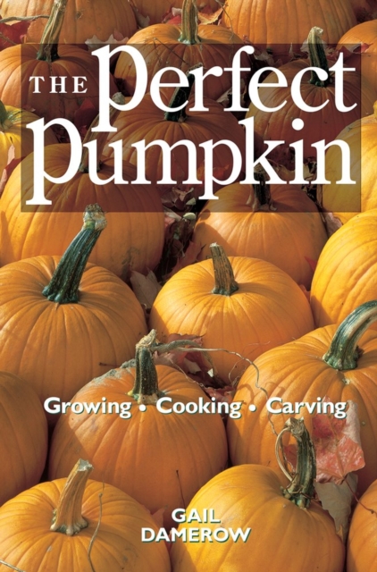 The Perfect Pumpkin : Growing/Cooking/Carving, Paperback / softback Book