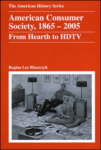 American Consumer Society, 1865 - 2005 : From Hearth to HDTV, Paperback / softback Book