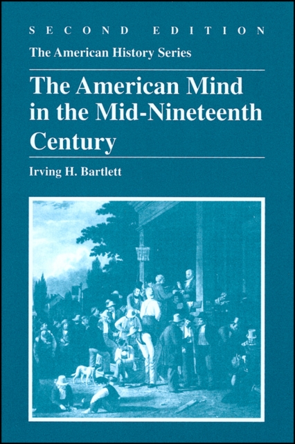 The American Mind in the Mid-Nineteenth Century, Paperback / softback Book