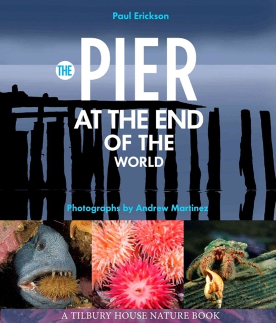 The Pier at the End of the World, Hardback Book