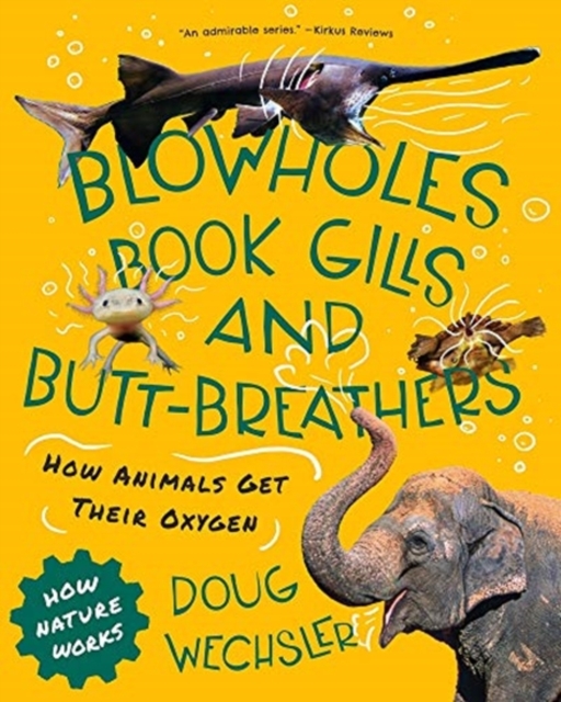 Blowholes, Book Gills, and Butt-Breathers : How Animals Get Their Oxygen, Hardback Book