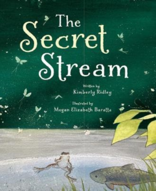 The Secret Stream, Hardback Book