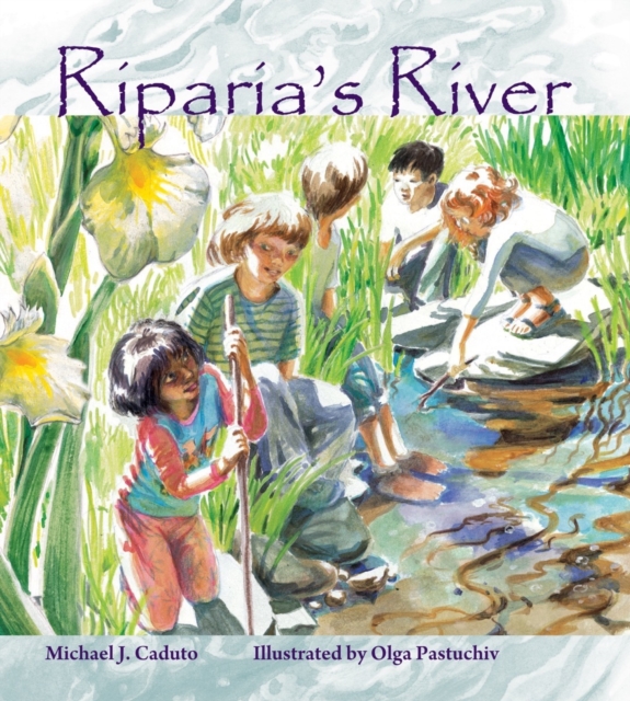 Riparia's River, Paperback / softback Book
