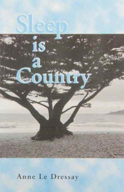 Sleep is a Country, Paperback / softback Book