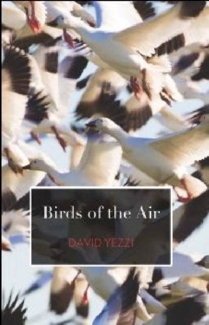 Birds of the Air, Paperback / softback Book
