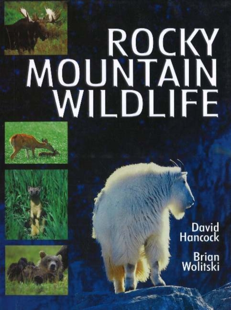 Rocky Mountain Wildlife, Paperback / softback Book