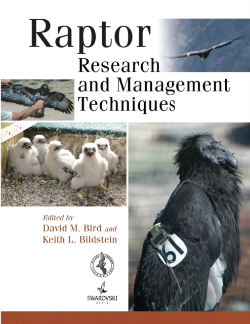 Raptor Research and Management Techniques, Paperback / softback Book