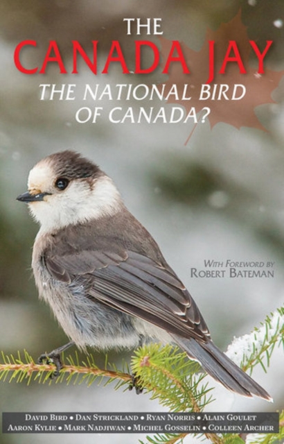 The Canada Jay : The National Bird of Canada?, Paperback / softback Book