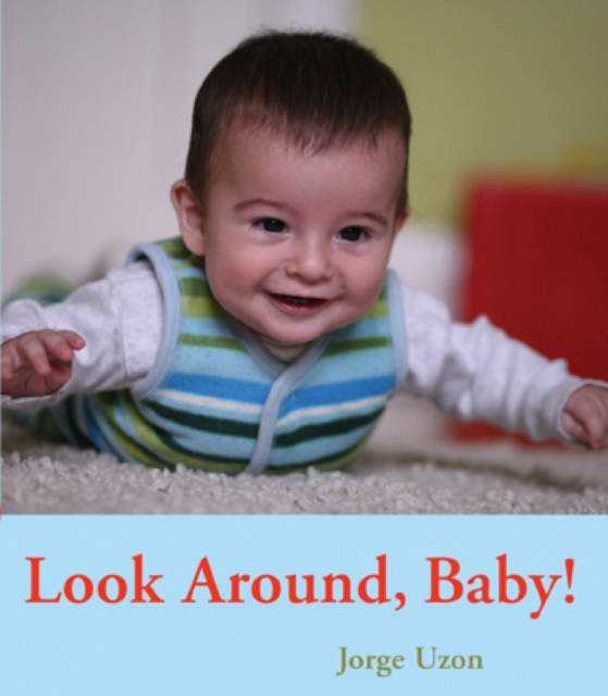 Look Around, Baby!, Board book Book