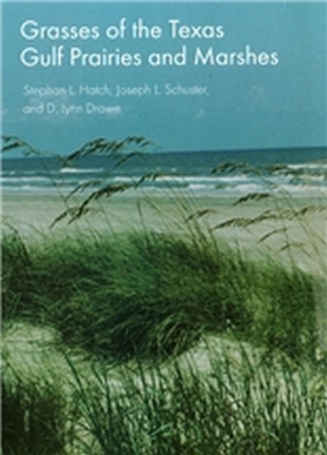 Grasses of the Texas Gulf Prairies and Marshes Volume 24, Paperback / softback Book