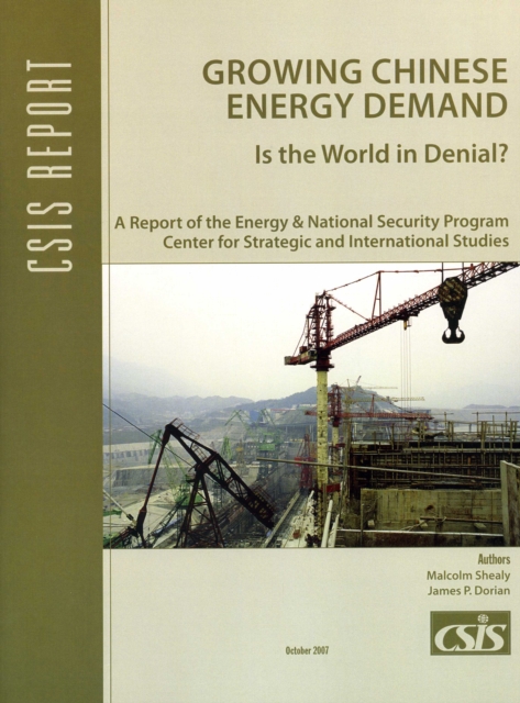 Growing Chinese Energy Demand : Is the World in Denial?, Paperback / softback Book