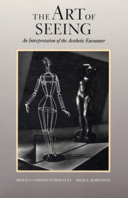 The Art of Seeing : An Introduction of the Aesthetic Encounter, Paperback Book