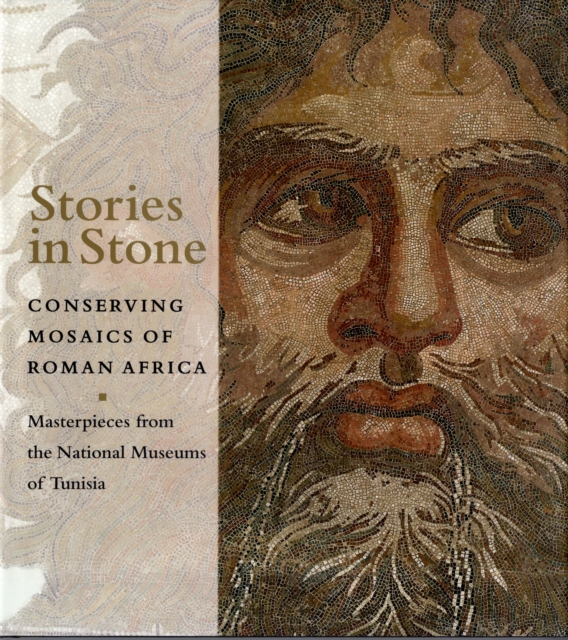 Stories in Stone - Conserving Mosaics of Roman Africa, Hardback Book