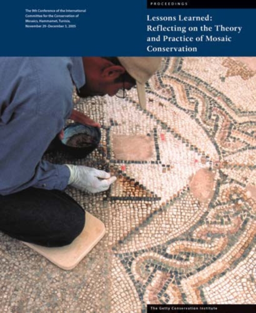 Lessons Learned - Reflecting on the Theory and Practice of Mosaic Conservation, Paperback / softback Book