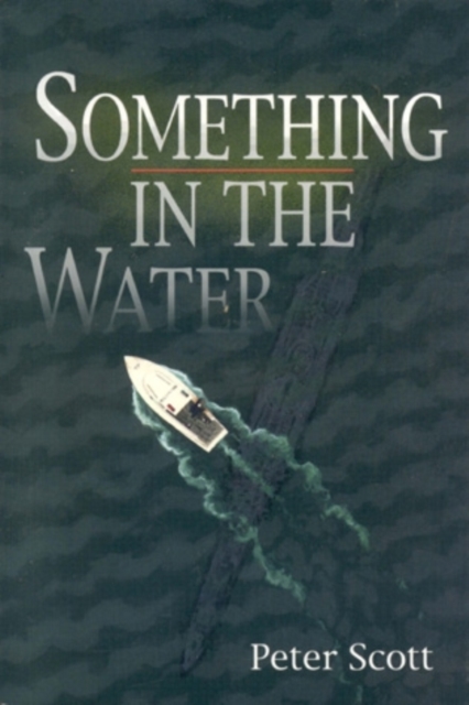 Something in the Water, Paperback / softback Book