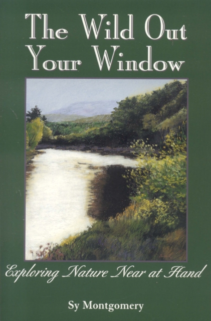 The Wild Out Your Window, Paperback / softback Book