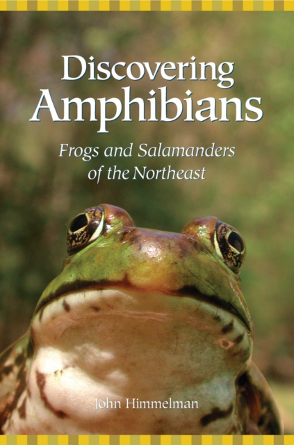 Discovering Amphibians : Frogs and Salamanders of the Northeast, Paperback / softback Book