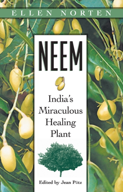Neem : Indias Miraculous Healing Plant, Paperback / softback Book