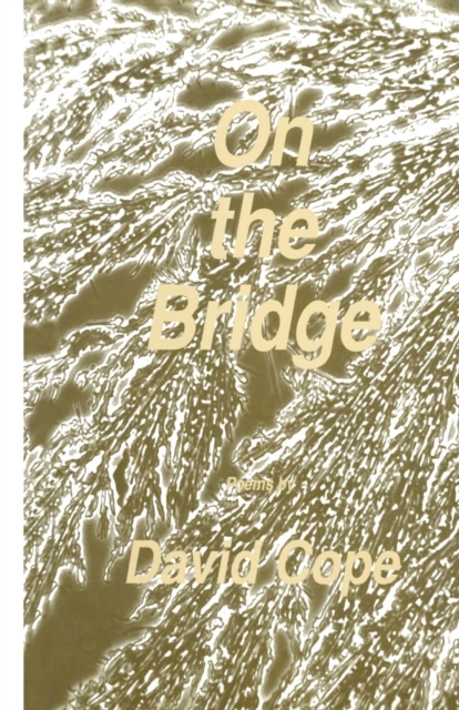 On the Bridge, Paperback / softback Book