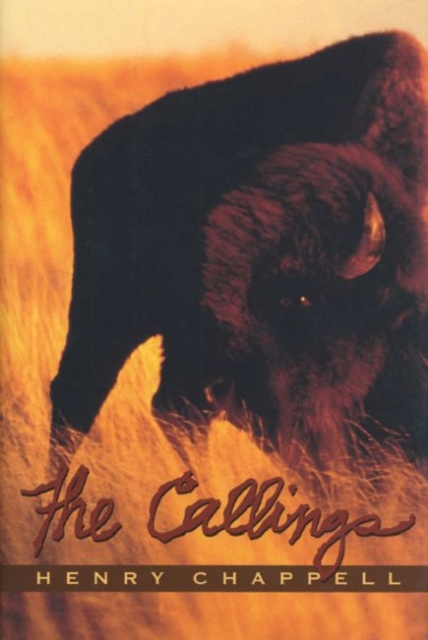 The Callings, Hardback Book