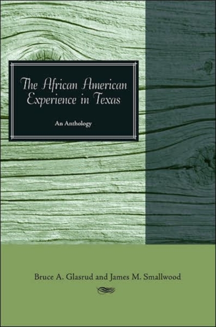 The African American Experience in Texas : An Anthology, Paperback / softback Book
