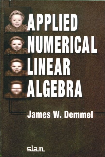 Applied Numerical Linear Algebra, Paperback Book